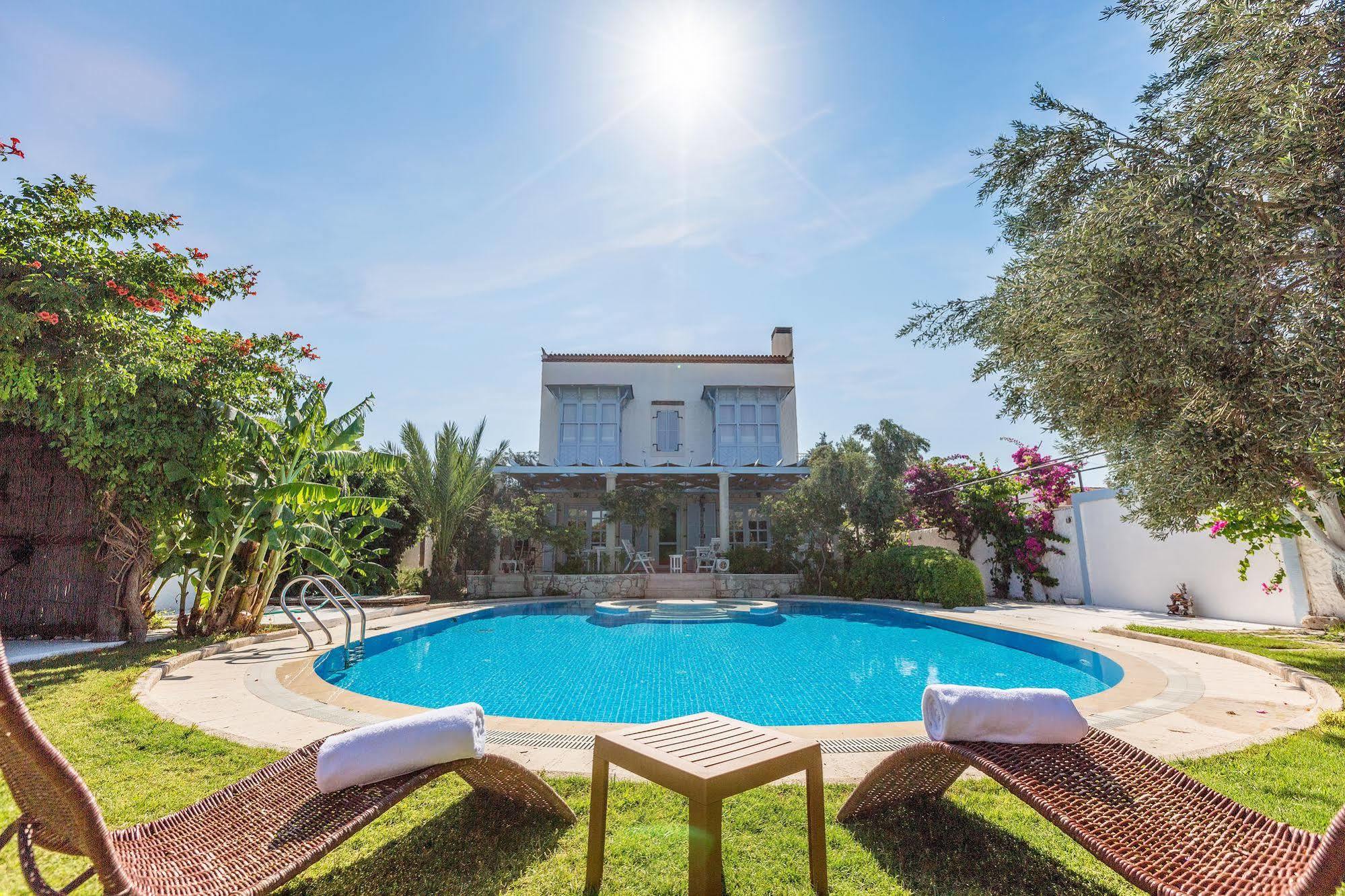 אלאקאטי Lale Lodge Hotel מראה חיצוני תמונה